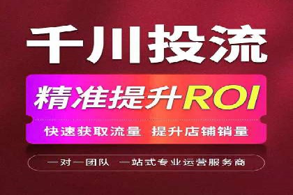 行业专家解析SEM托管代运营的成功要素